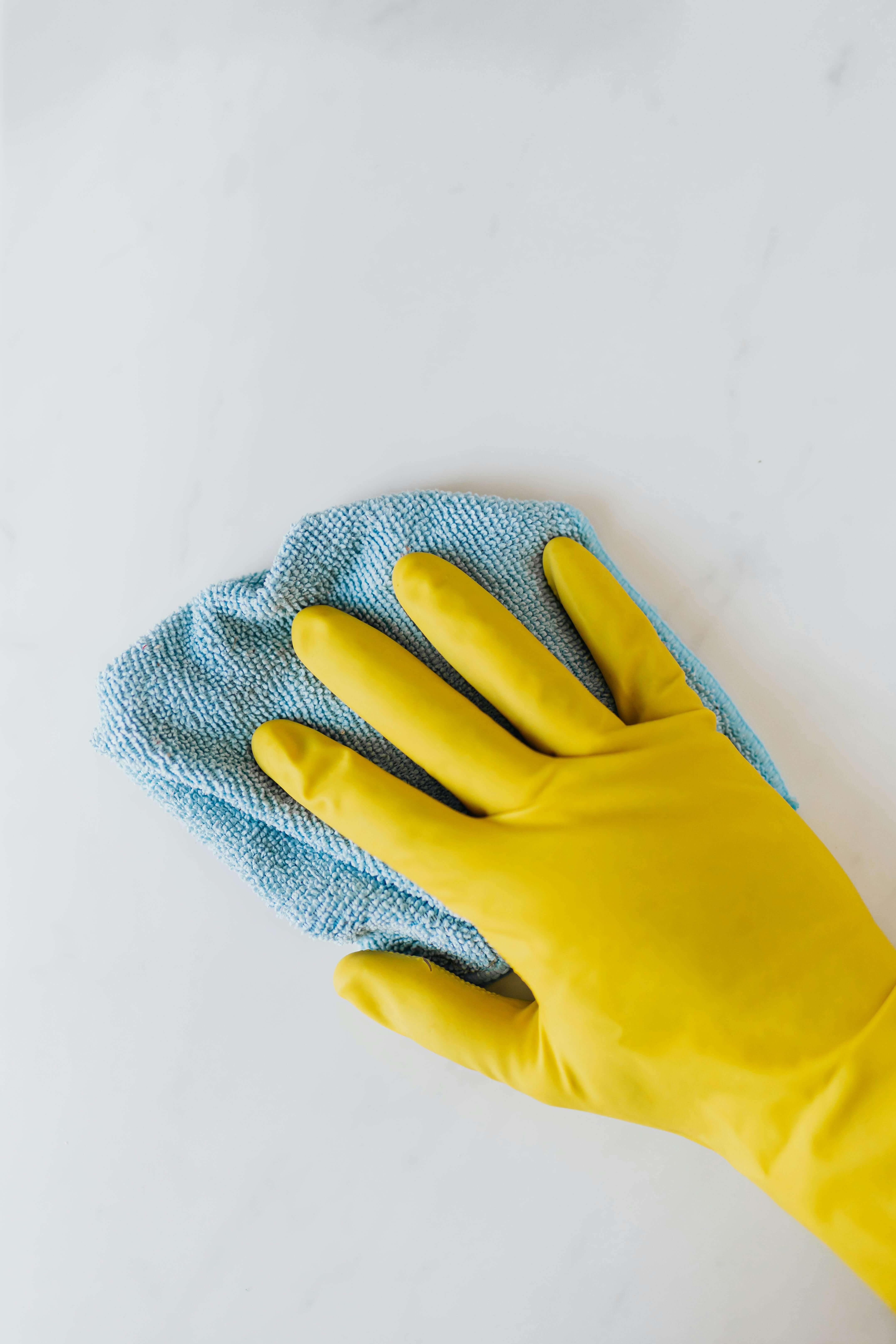 Professional residential cleaning — contact Hummingbird Cleaning Services